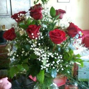 Meet your Posher, Elisa